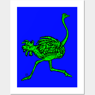 RUNNING OSTRICH .4 Posters and Art
